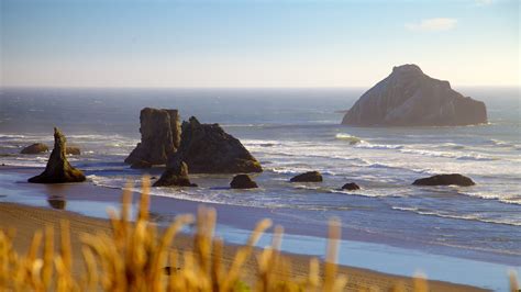 Craigslist bandon oregon - Need room or r/v trailer to rent. 10/19 · Floance area. •. Holistic Pract. and Pet Seek Country House. 10/18 · anywhere Southern OR Coast and in Country. •. Prof. Needs Nice Country House To Rent Now. 10/18 · Oregon Coast anywhere So. of Depoe Bay. no image.